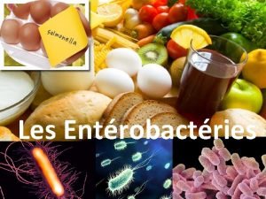 Escherichia coli mobile ou immobile