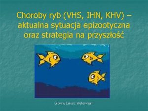 Choroby ryb VHS IHN KHV aktualna sytuacja epizootyczna