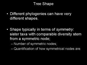 Tree Shape Different phylogenies can have very different