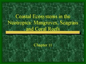 Coastal Ecosystems in the Neotropics Mangroves Seagrass and