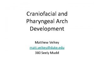 Craniofacial and Pharyngeal Arch Development Matthew Velkey matt