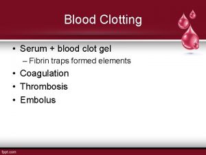 Blood Clotting Serum blood clot gel Fibrin traps