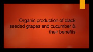 Organic production of black seeded grapes and cucumber