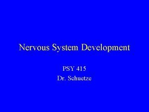 Nervous System Development PSY 415 Dr Schuetze Question