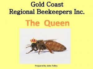 Gold Coast Regional Beekeepers Inc The Queen Prepared