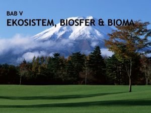 BAB V EKOSISTEM BIOSFER BIOMA EKOSISTEM lingkungan biologis