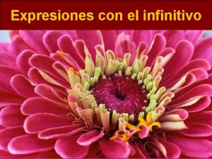 Expresiones con el infinitivo