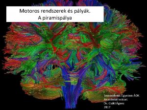 Motoros rendszerek s plyk A piramisplya Semmelweis Egyetem