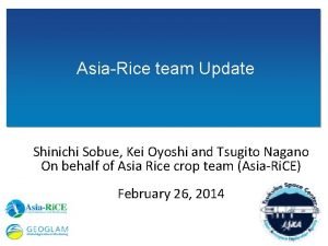 AsiaRice team Update Shinichi Sobue Kei Oyoshi and