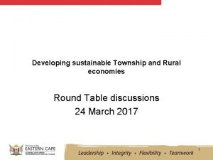 Developing sustainable Township and Rural economies Round Table