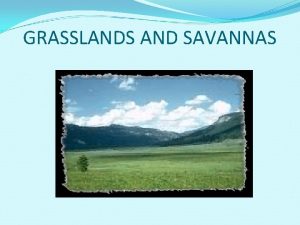 GRASSLANDS AND SAVANNAS Locations of Grasslands are located