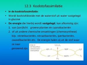 12 3 Koolstofassimilatie In de koolstofassimilatie Wordt koolstofdioxide