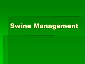 Swine Management Characteristics of swine Pigs are Homeotherms