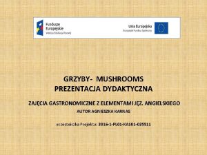 Grzyby suszone dla gastronomii