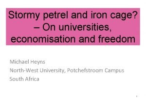 Stormy petrel and iron cage On universities economisation