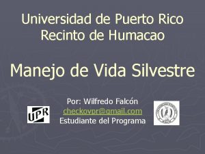 Manejo de vida silvestre uprh Manejo de vida silvestre uprh