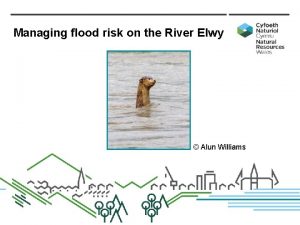 Managing flood risk on the River Elwy Alun