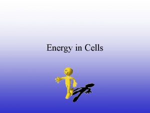 Energy in Cells Objectives SWBAT Describe low of