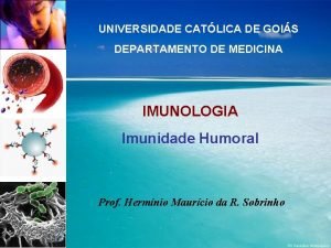 UNIVERSIDADE CATLICA DE GOIS DEPARTAMENTO DE MEDICINA IMUNOLOGIA