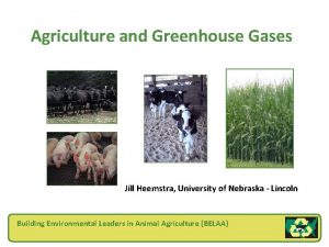 Agriculture and Greenhouse Gases Jill Heemstra University of