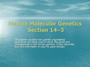 Section 14-3 human molecular genetics