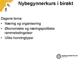 Nybegynnerkurs i birkt Dagens tema Nring og organisering