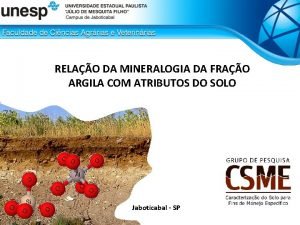 RELAO DA MINERALOGIA DA FRAO ARGILA COM ATRIBUTOS