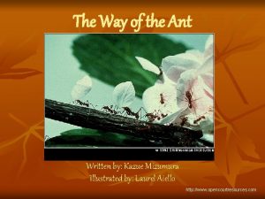 The Way of the Ant Written by Kazue