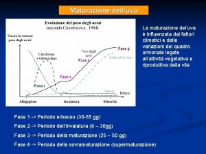 Maturazione delluva La maturazione deluva influenzata dai fattori