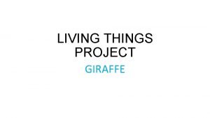 LIVING THINGS PROJECT GIRAFFE THE KINGDOM What kingdom