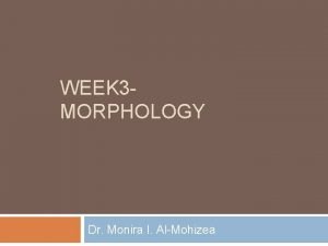 WEEK 3 MORPHOLOGY Dr Monira I AlMohizea What