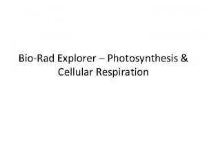 BioRad Explorer Photosynthesis Cellular Respiration Warmup Title a