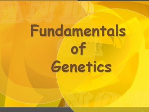 Fundamentals of Genetics 1 Gregor Mendel 1822 1884