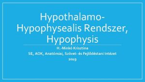 Hypothalamo Hypophysealis Rendszer Hypophysis H Mink Krisztina SE
