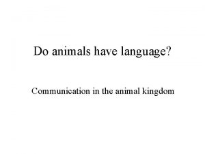 Do animal have language