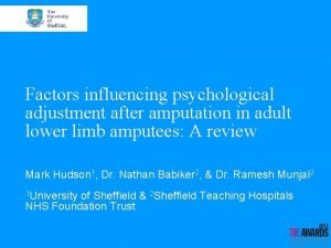 Factors influencing psychological adjustment after amputation in adult