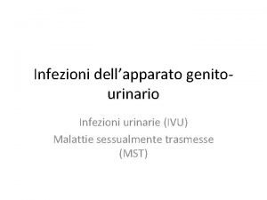 Infezioni dellapparato genitourinario Infezioni urinarie IVU Malattie sessualmente