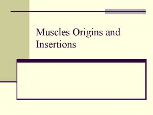 Supraspinatus muscle insertion Supraspinatus muscle insertion