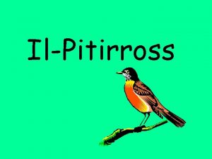 IlPitirross Jiena jisimni Robby Kif indunajtu jiena pitirross