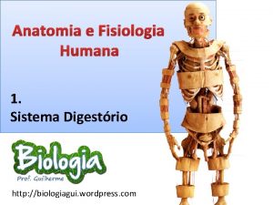 Anatomia e Fisiologia Humana 1 Sistema Digestrio http