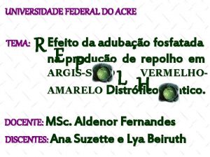 UNIVERSIDADE FEDERAL DO ACRE TEMA RE P ARGISSOLO