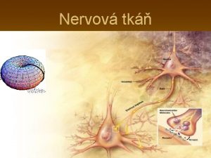 Nervov tk Obecn vlastnosti nervov tkn a jej