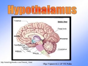 http neurology 4 medics comTutorial1 html Olga Vajnerov