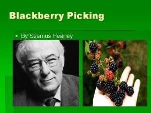 Blackberry picking analysis