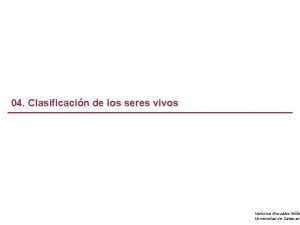 Características del reino protoctista