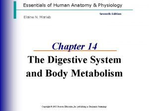 Essentials of Human Anatomy Physiology Elaine N Marieb