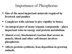 Phytate phosphorus