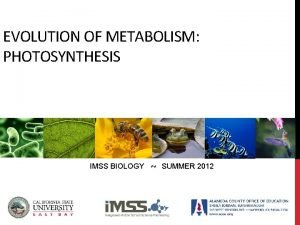 EVOLUTION OF METABOLISM PHOTOSYNTHESIS IMSS BIOLOGY SUMMER 2012