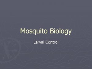 Mosquito Biology Larval Control General Points Four development