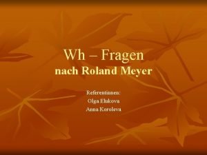 Wh Fragen nach Roland Meyer Referentinnen Olga Elukova